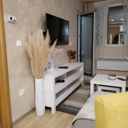 公寓 Centar 兹拉蒂博尔