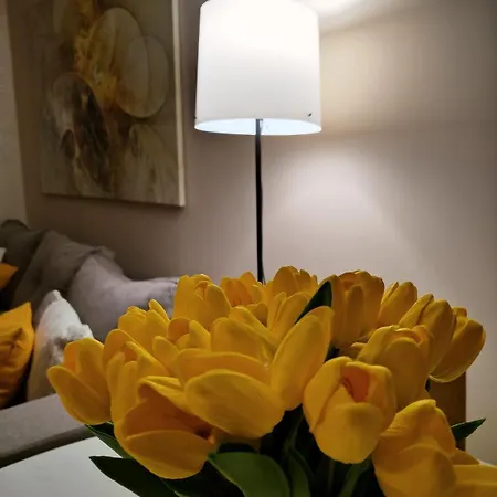 Centar 兹拉蒂博尔