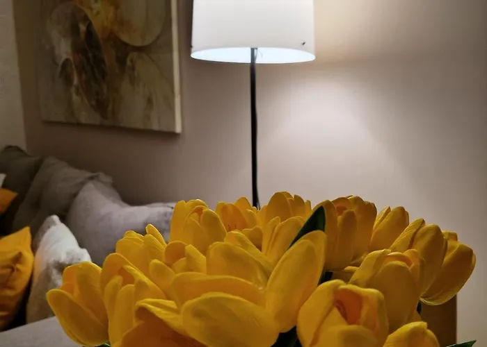 Centar زلاتيبور